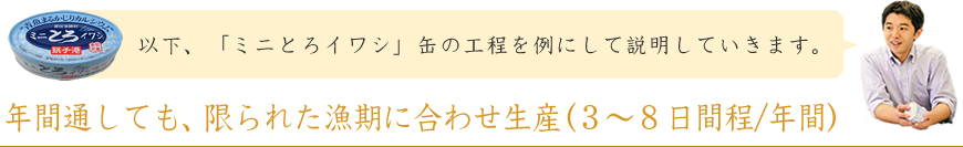 以下、「ミニとろイワシ」缶の工程を例にして説明していきます。年間通しても、限られた漁期に合わせ生産(３～８日間程/年間)