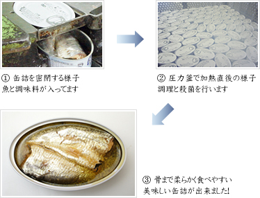 ① 缶詰を密閉する様子魚と調味料が入ってます① 缶詰を密閉する様子魚と調味料が入ってます③ 骨まで柔らかく食べやすい美味しい缶詰が出来ました！