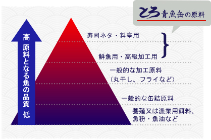 「料原料となる魚の品質」とろ青魚缶の原料：寿司ネタ・料亭用・鮮魚用・高級加工用