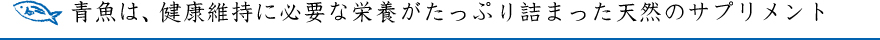 青魚は、健康維持に必要な栄養がたっぷり詰まった天然のサプリメント