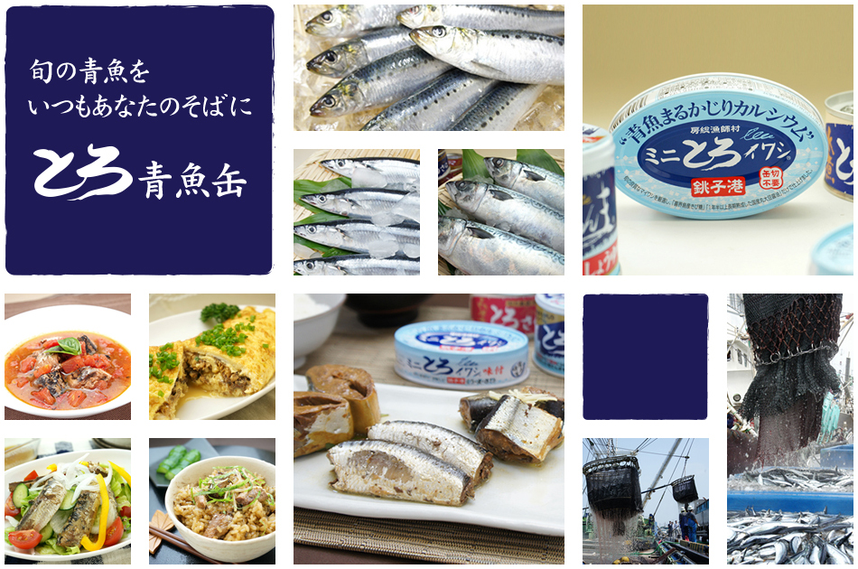 旬の青魚をいつもあなたのそばに「とろ青魚缶」